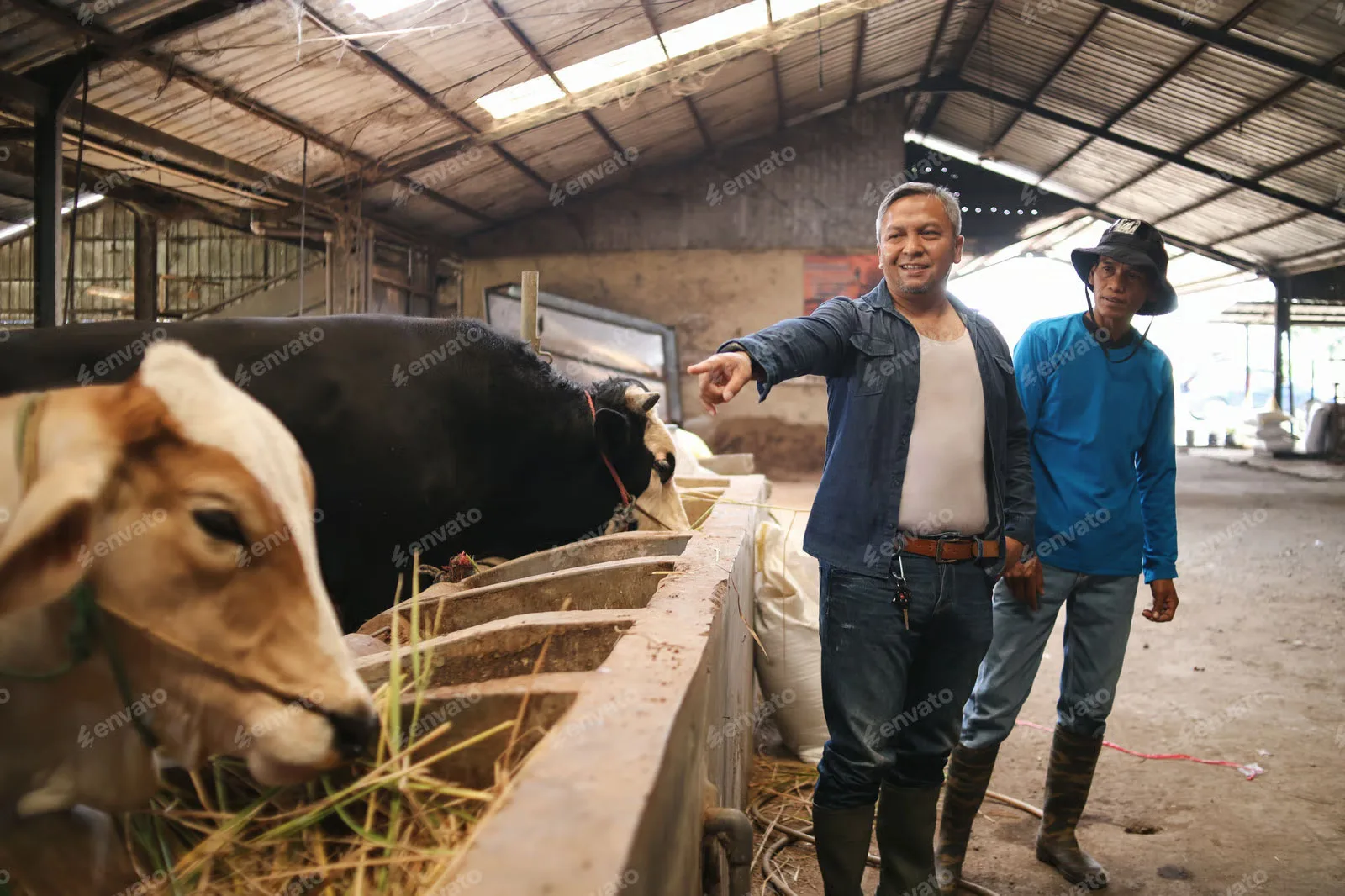 Great Giant Livestock (GGL)